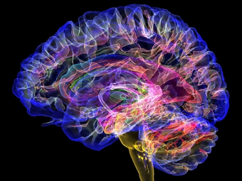 操屄视频一区大脑植入物有助于严重头部损伤恢复